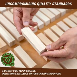 Basswood Carving Blocks Set Natural Unfinished - Image 6