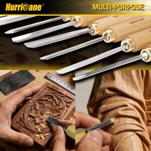 Twelve Piece Wood Carving Chisel Tool Set With Canvas Roll - Image 5